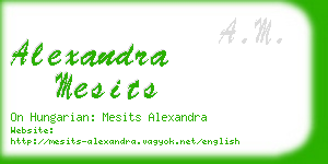 alexandra mesits business card